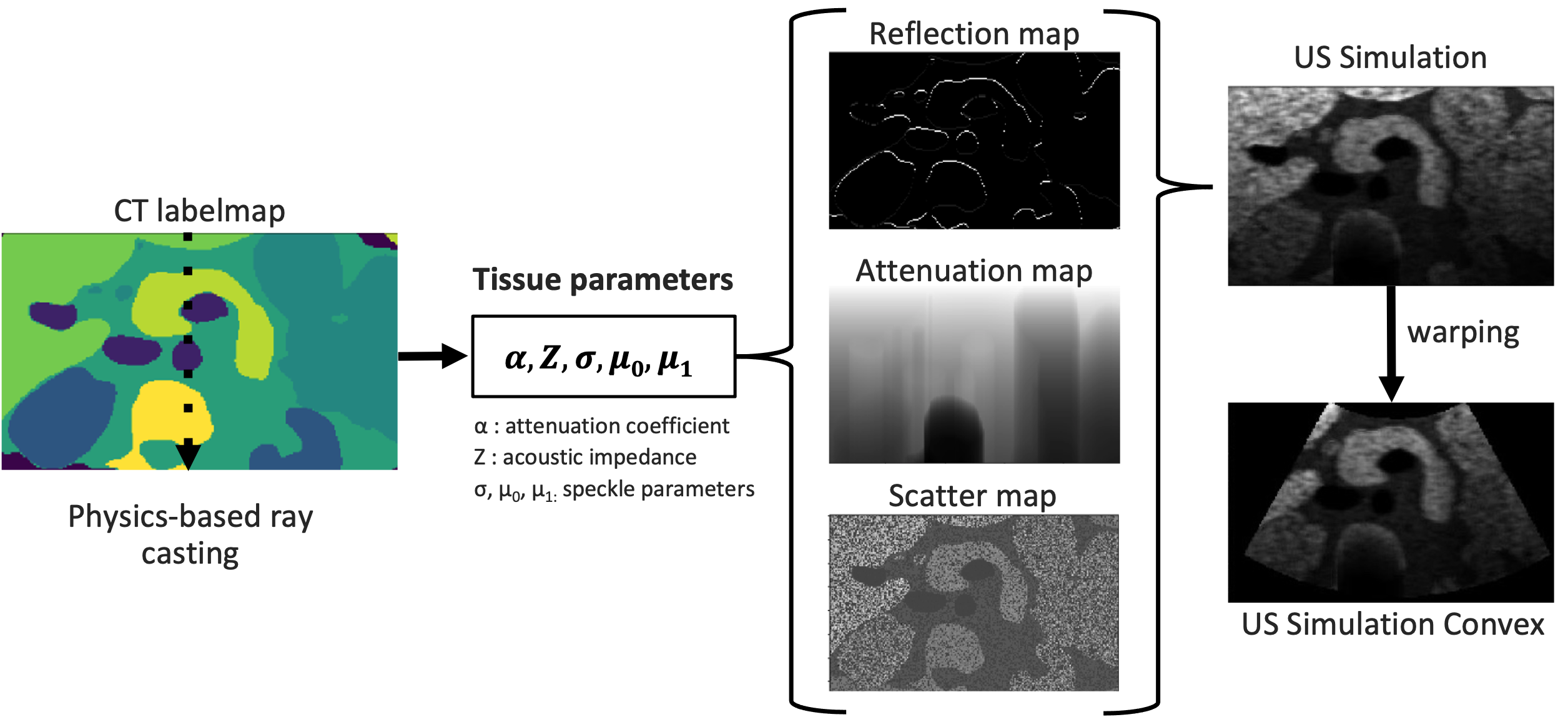 Differentiable Ultrasound Renderer Pipeline