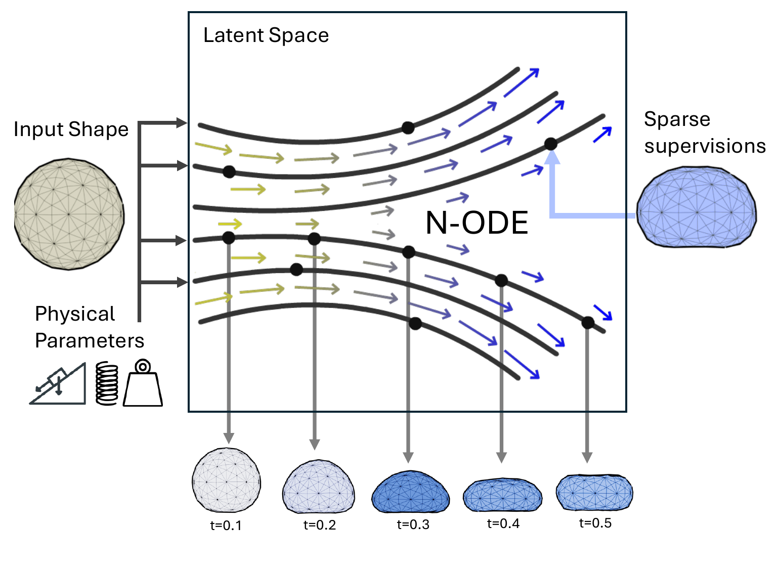 Initial shape and physical parameters define a latent trajectory. Sparse observed states supervise continuous shape evolution.